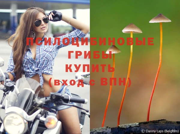 прущий лед Козельск
