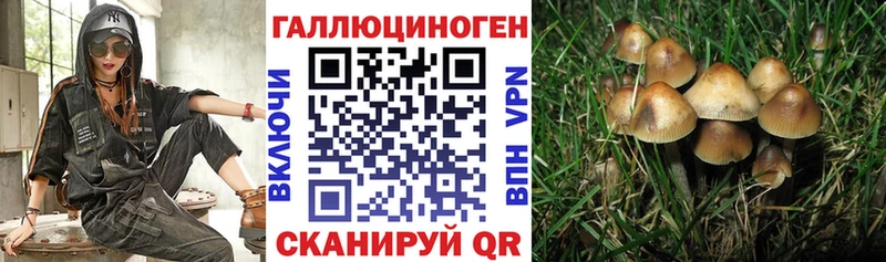Купить  Барыш  Галлюциногенные грибы Magic Shrooms 